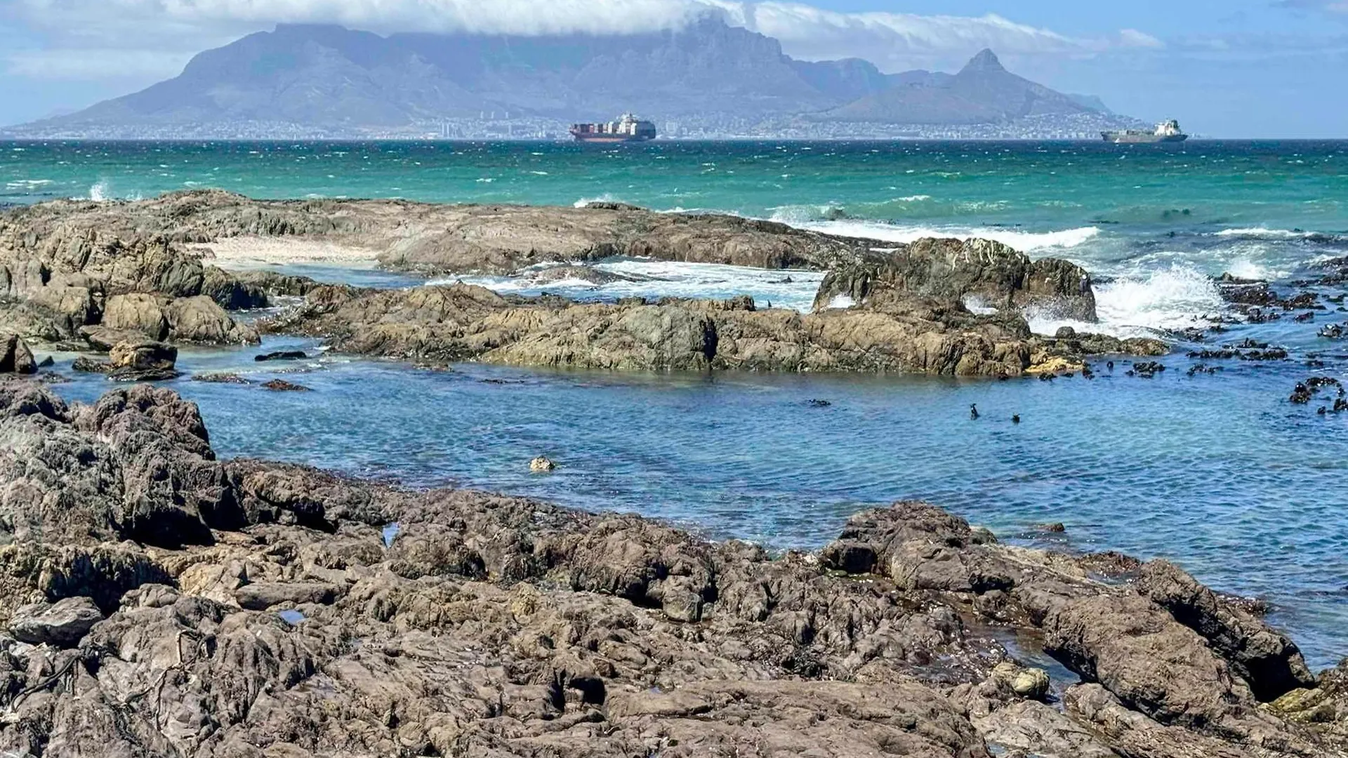 Flamingo Sea Point: Luxury Sea View Apartment Cape Town
